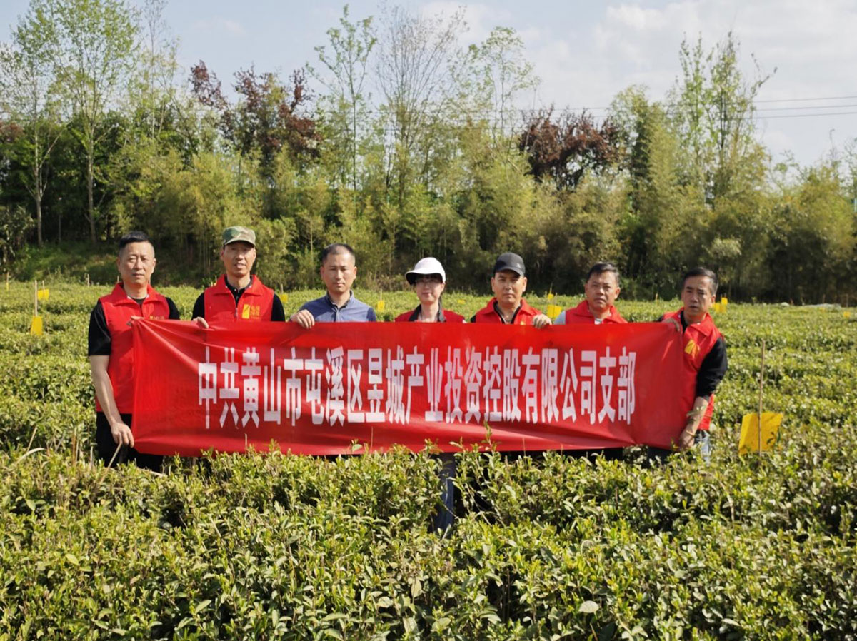 昱城產(chǎn)投公司黨支部開展“茶香潤(rùn)初心，黨旗映茶園”主題黨日活動(dòng)