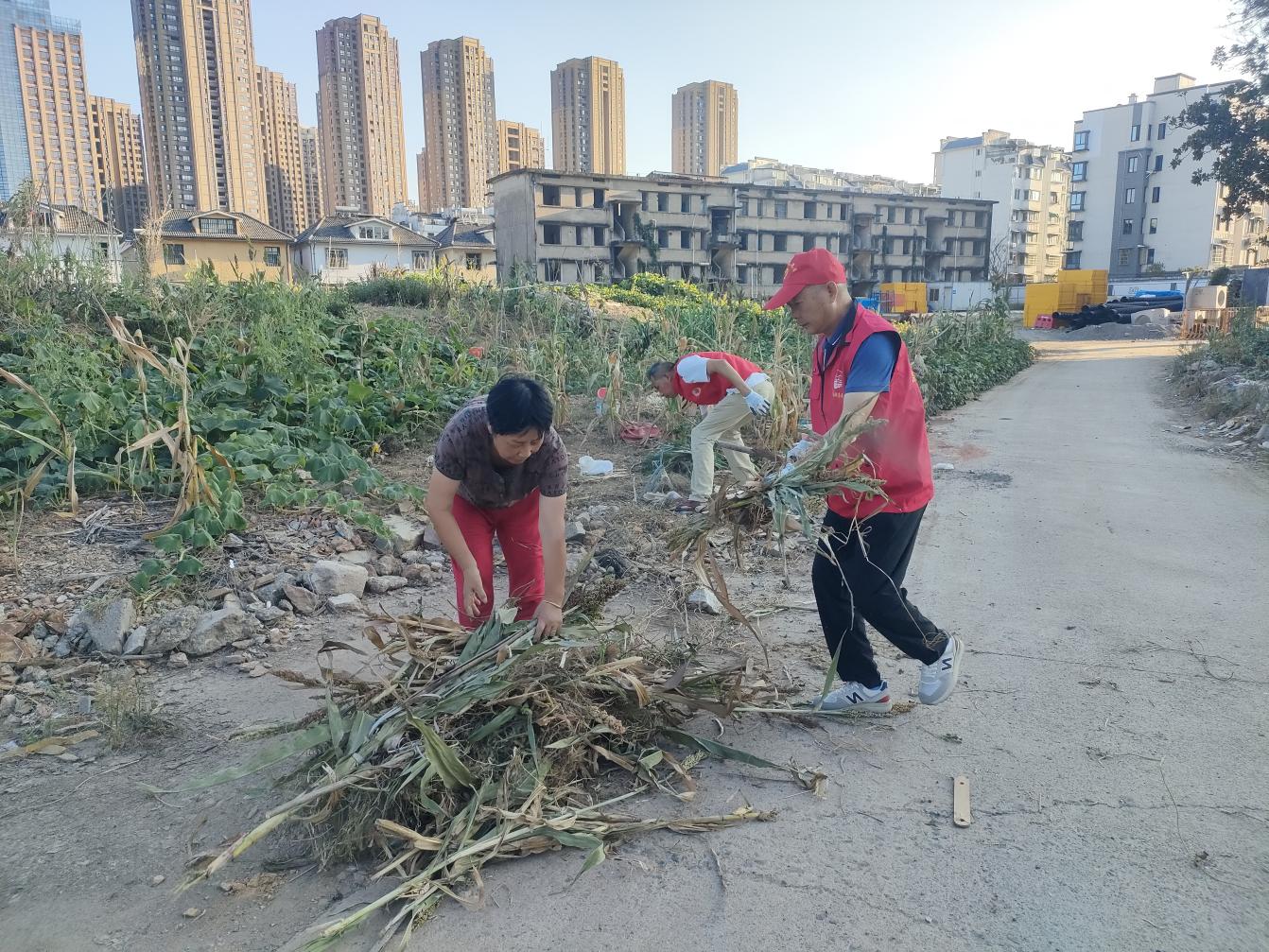 黨員進社區(qū)：守護綠色家園，彰顯國企擔(dān)當(dāng)